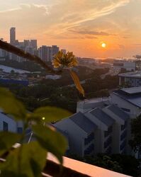 Blk 113 Bukit Purmei Road (Bukit Merah), HDB 4 Rooms #513045551